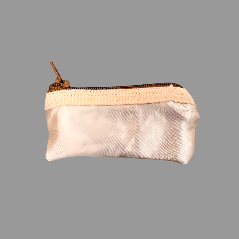 Planet Pointe Pouch