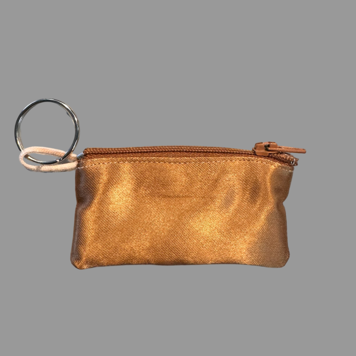 Planet Pointe Pouch