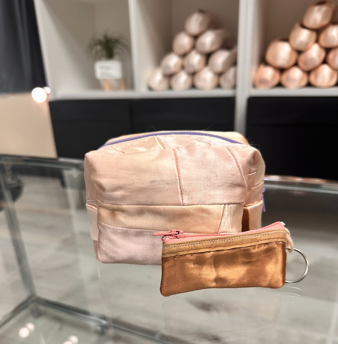 Planet Pointe Prima Pouch™