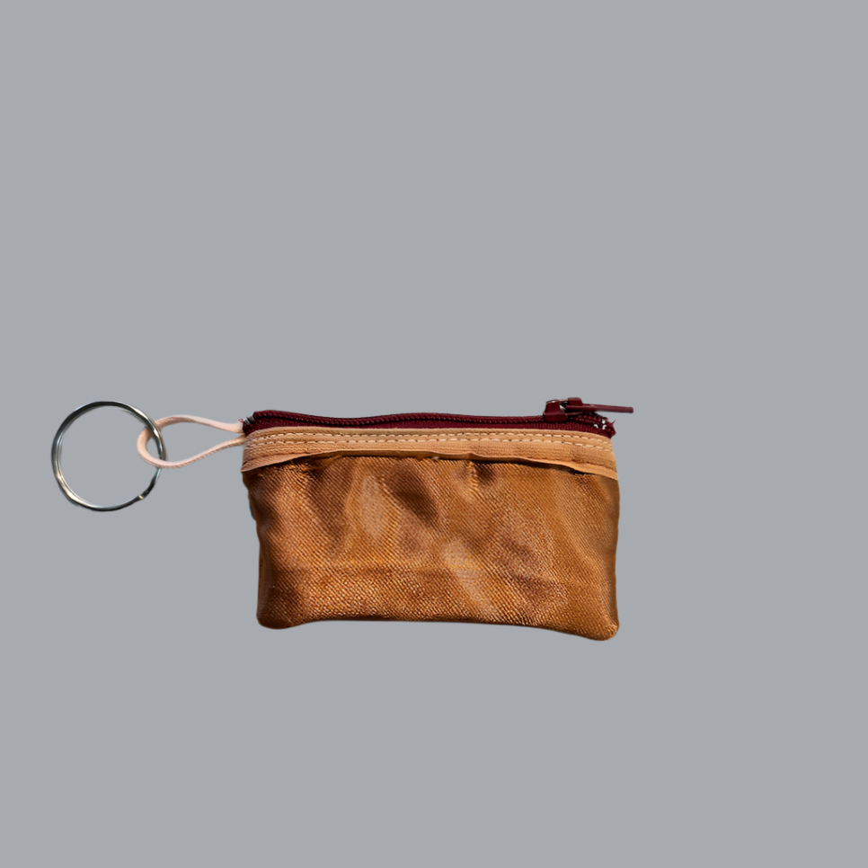 Planet Pointe Pouch