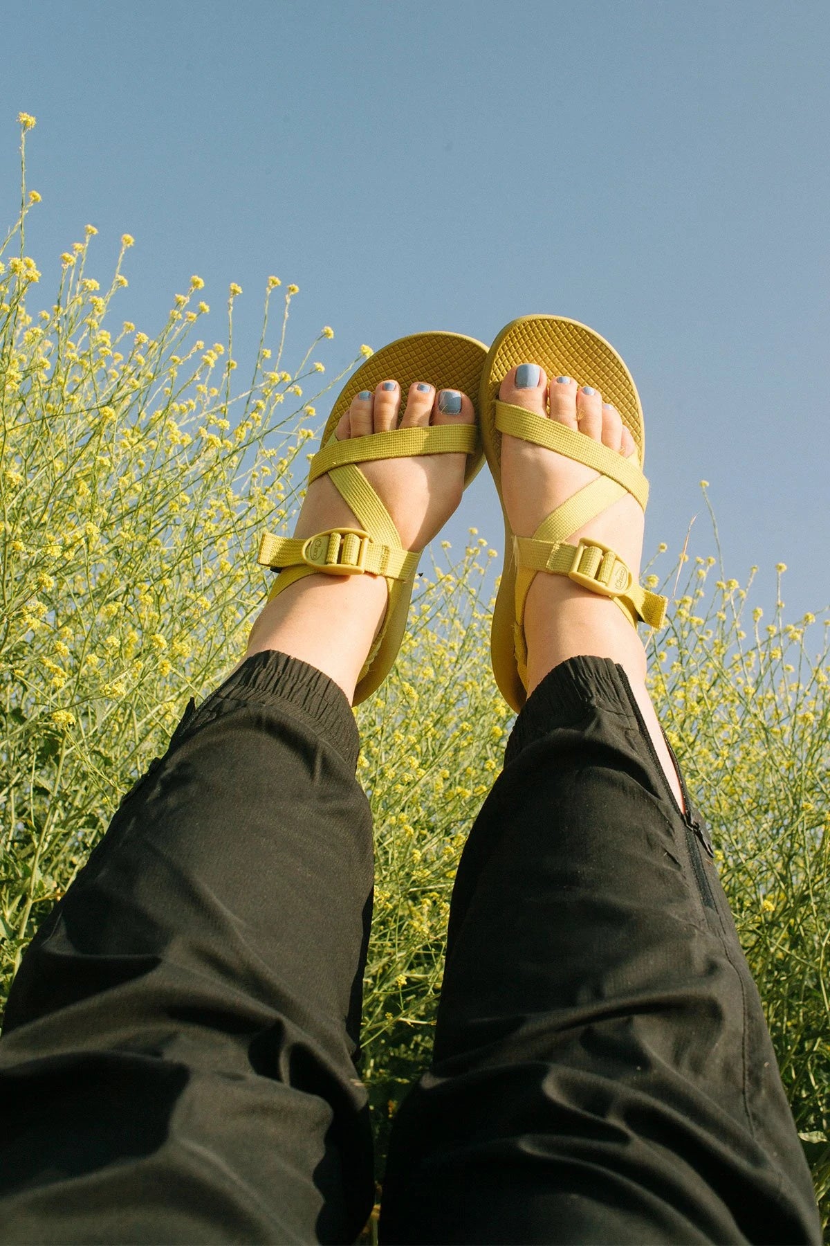 Summit Track Pant (6011)