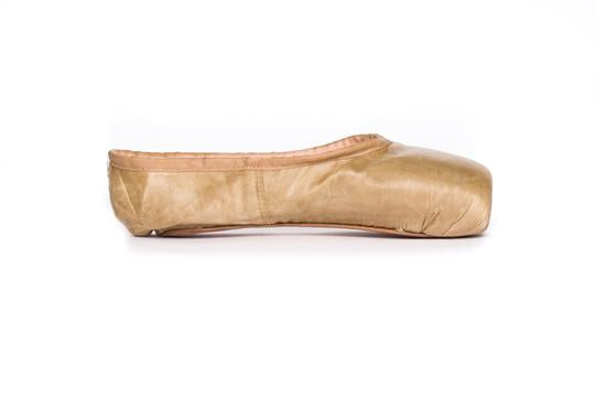 Fabric Pointe Paint