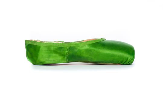 Fabric Pointe Paint