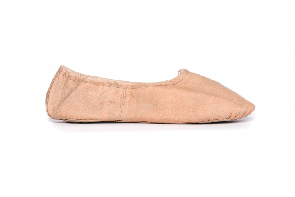 Leather Shoe Paint