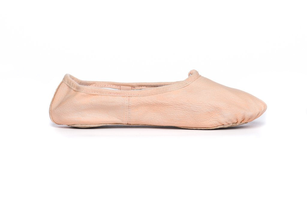 Leather Shoe Paint