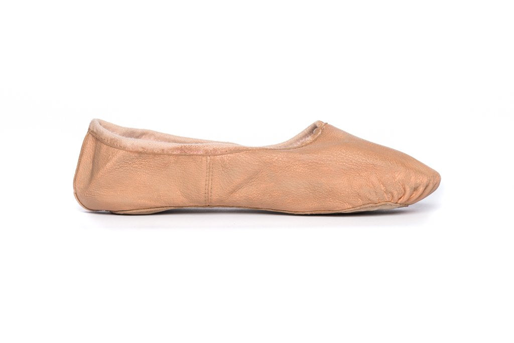 Leather Shoe Paint