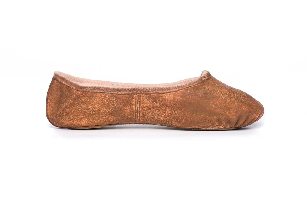 Leather Shoe Paint