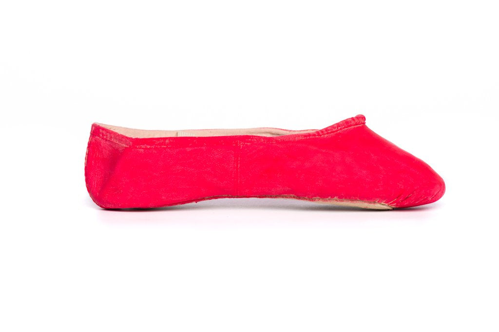 Leather Shoe Paint