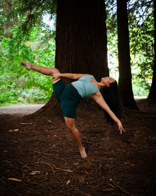 High-Rise Bike Short (4011)