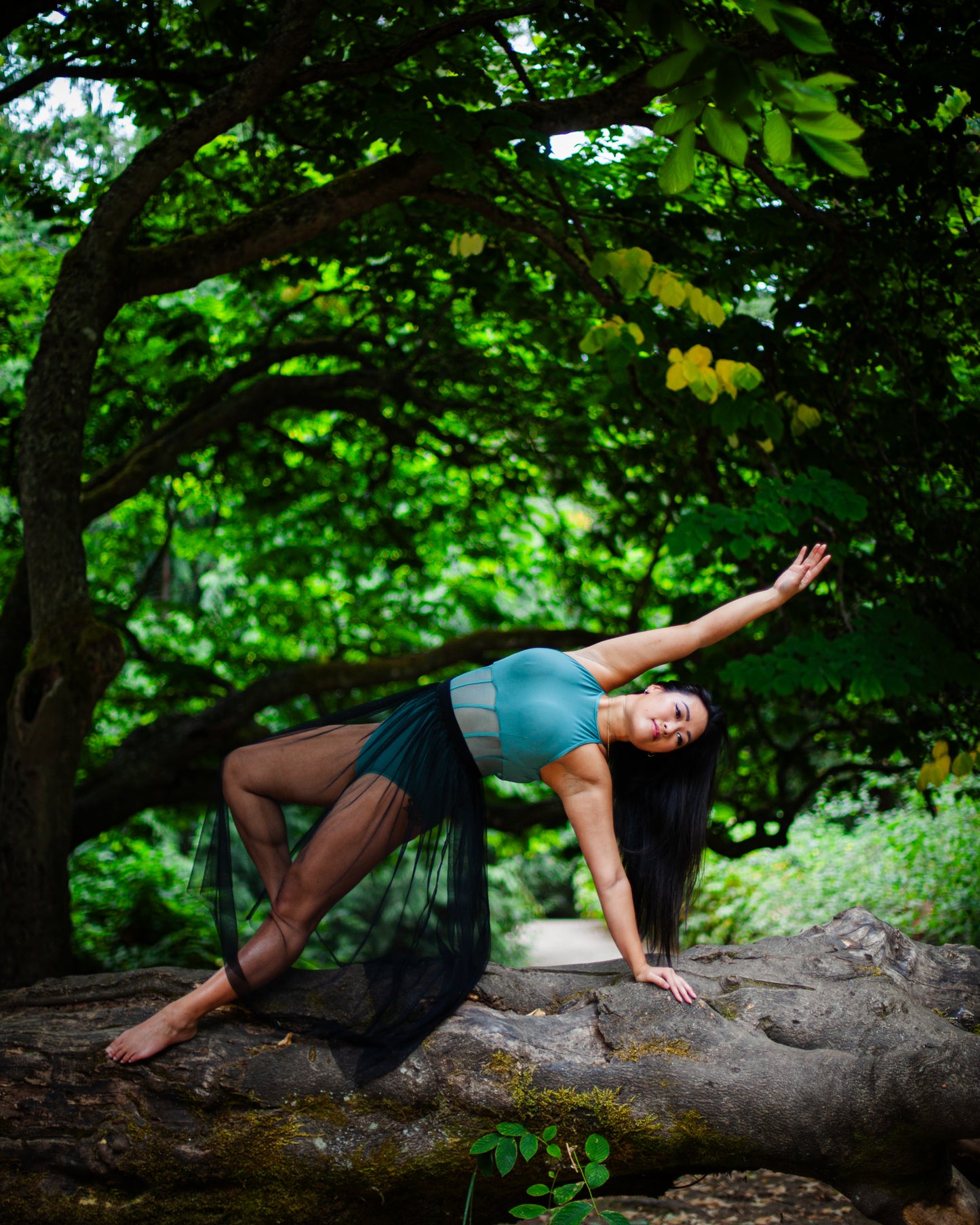 Faith Skirt - Ballet Rosa