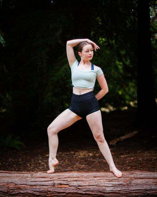 High Waisted Shorts (TB131)