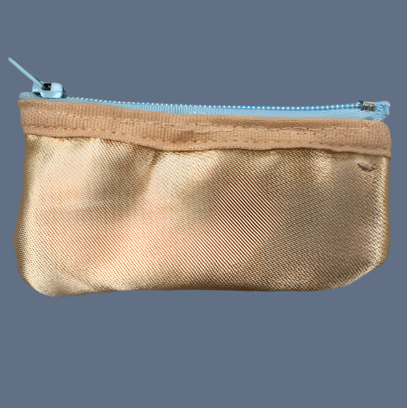 Planet Pointe Pouch