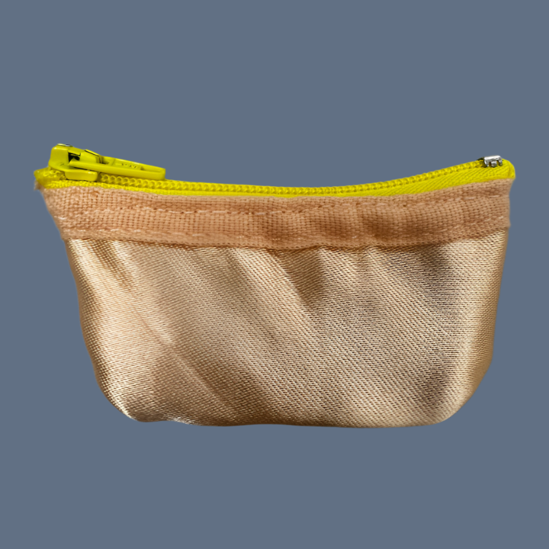 Planet Pointe Pouch