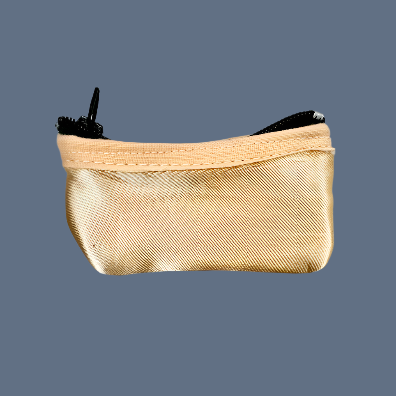 Planet Pointe Pouch