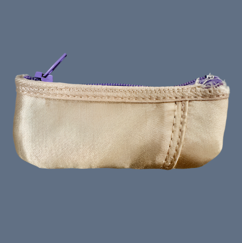 Planet Pointe Pouch