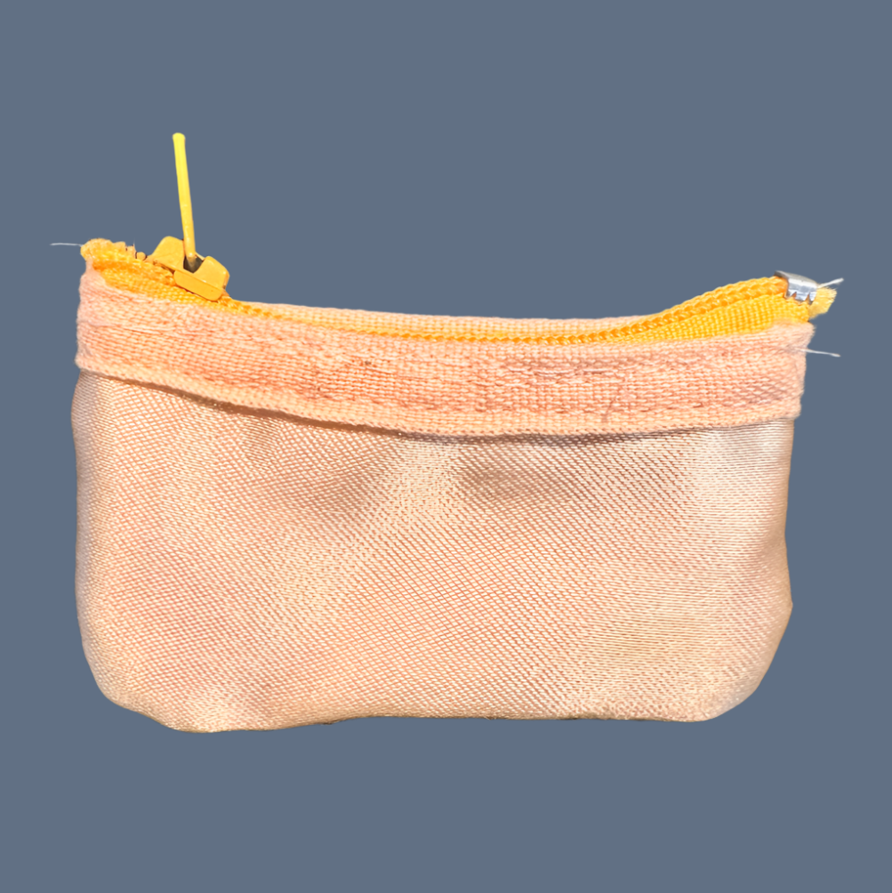 Planet Pointe Pouch