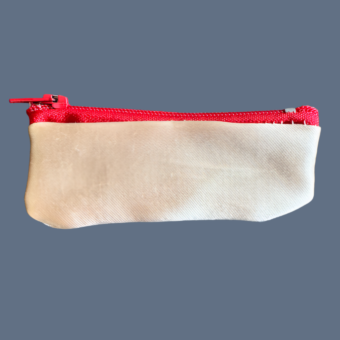 Planet Pointe Pouch