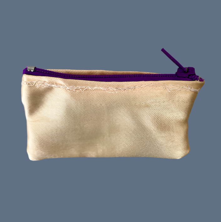 Planet Pointe Pouch