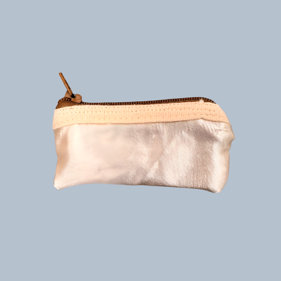 Planet Pointe Pouch