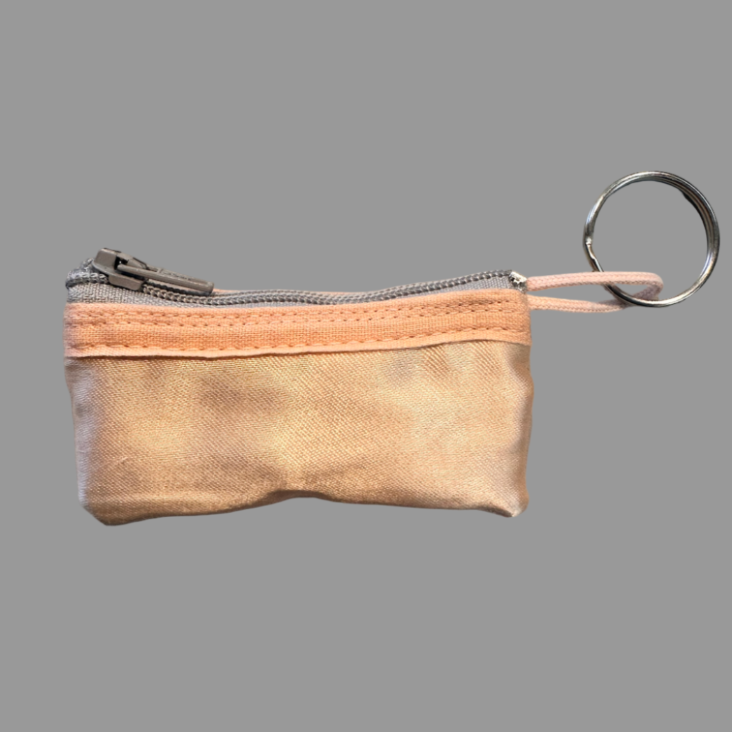 Planet Pointe Pouch