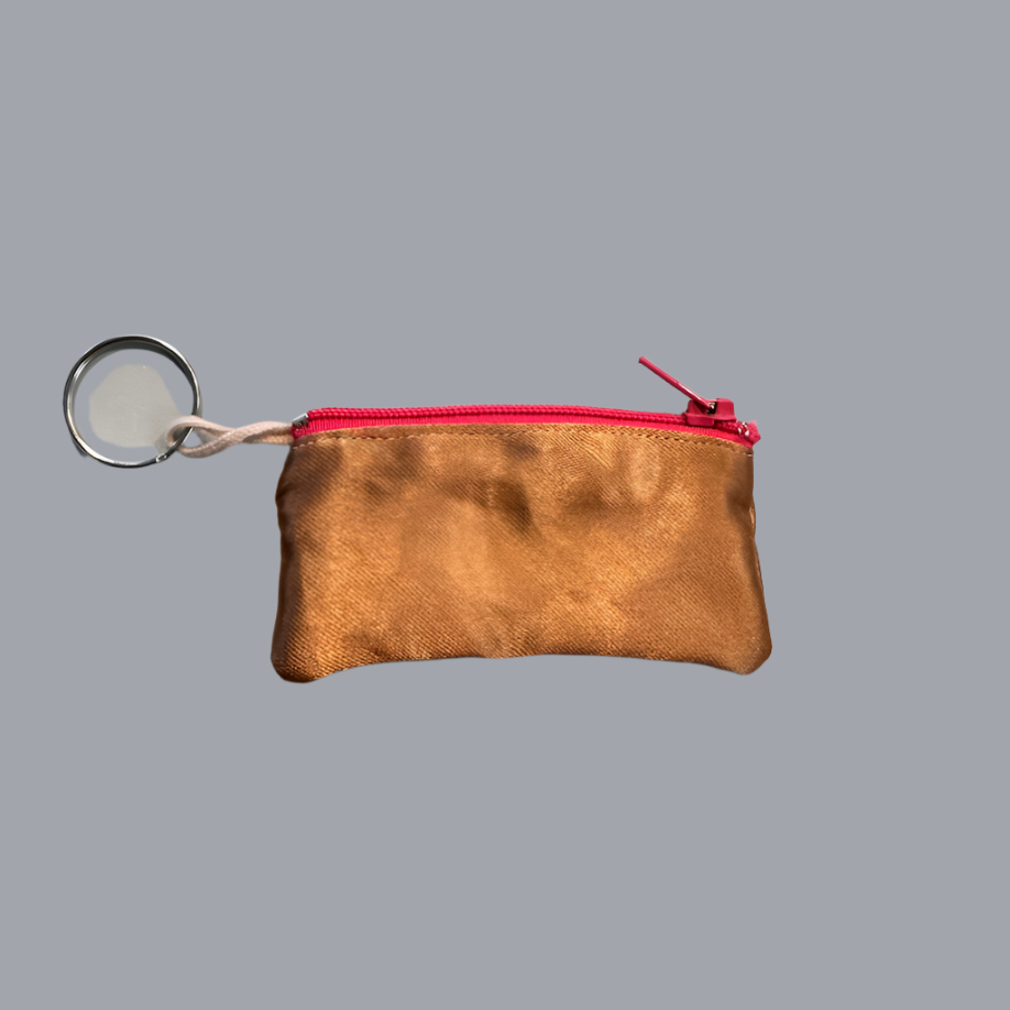 Planet Pointe Pouch